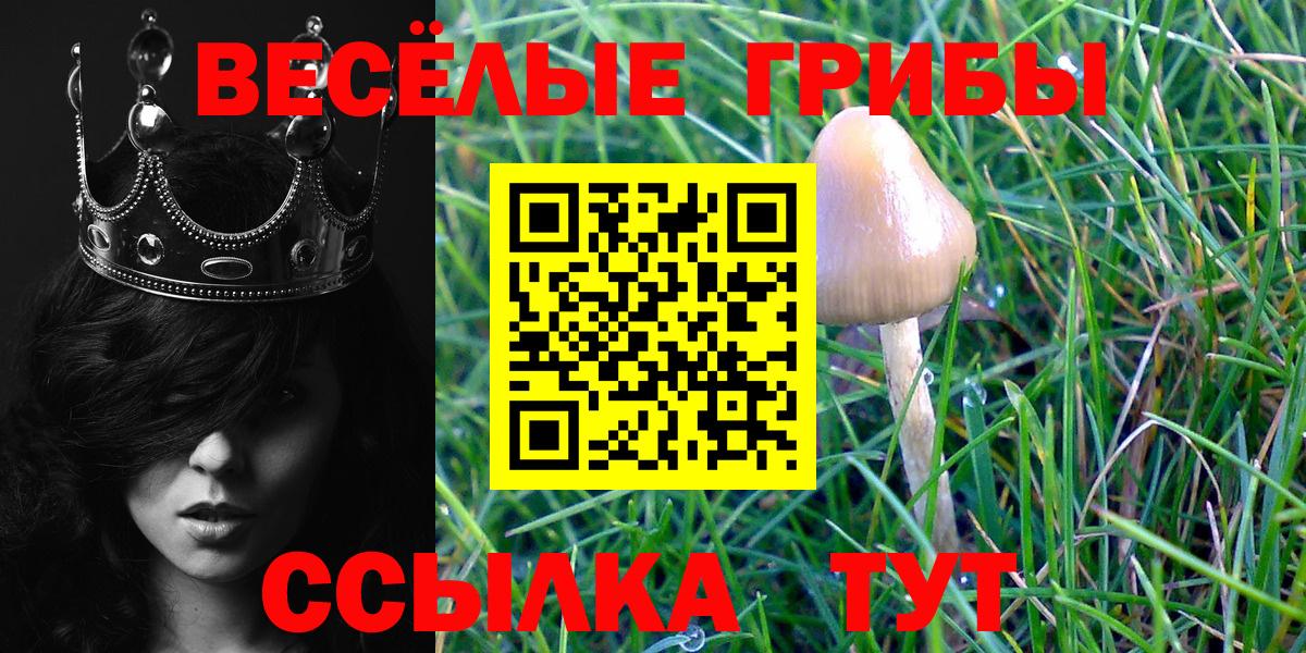 Мелеуз  Псилоцибиновые грибы мухоморы  Вход с VPN 
