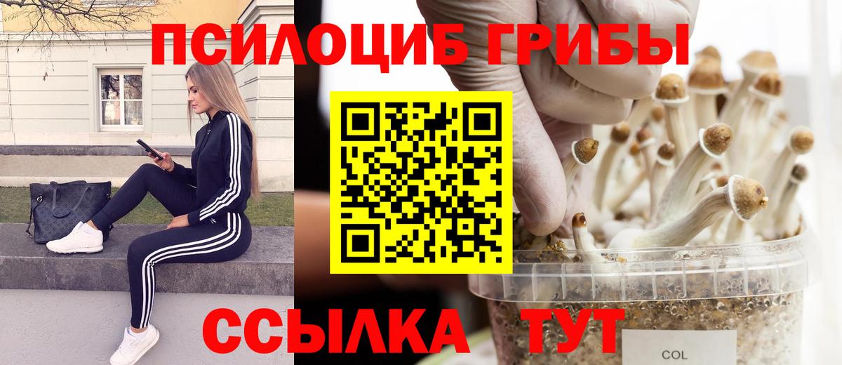 Галлюциногенные грибы ЛСД Мелеуз